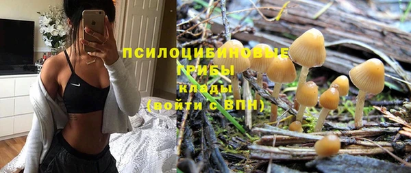 соль ск Данков